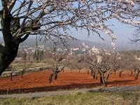 GR®97 Around Luberon (Vaucluse, Alpes-de-Haute-Provence) 8