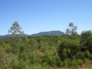 GR99 Randonnée de Revest-les-Eaux à Trigance (Var) 4