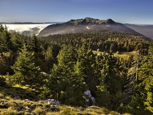 GR9 Randonnée de Mijoux (Ain) à Yenne (Savoie) 5