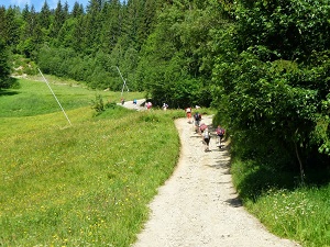 Hiking around Mont-Blanc (Haute-Savoie, Switzerland, Italy) 3