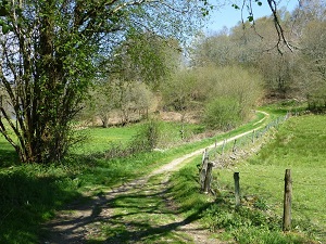 Hiking around Monts Ambazac (Haute-Vienne) 4