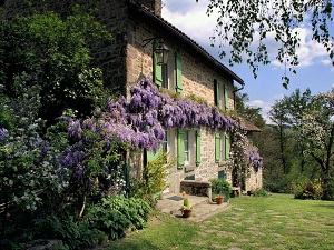 Hiking around Monts Ambazac (Haute-Vienne) 6