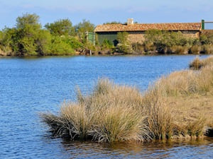 Randonn&eacute;e autour du Bassin d'Arcachon (Gironde) 5