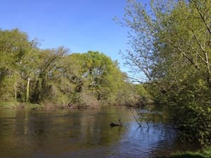 Randonn&eacute;e autour du Bassin d'Arcachon (Gironde) 6