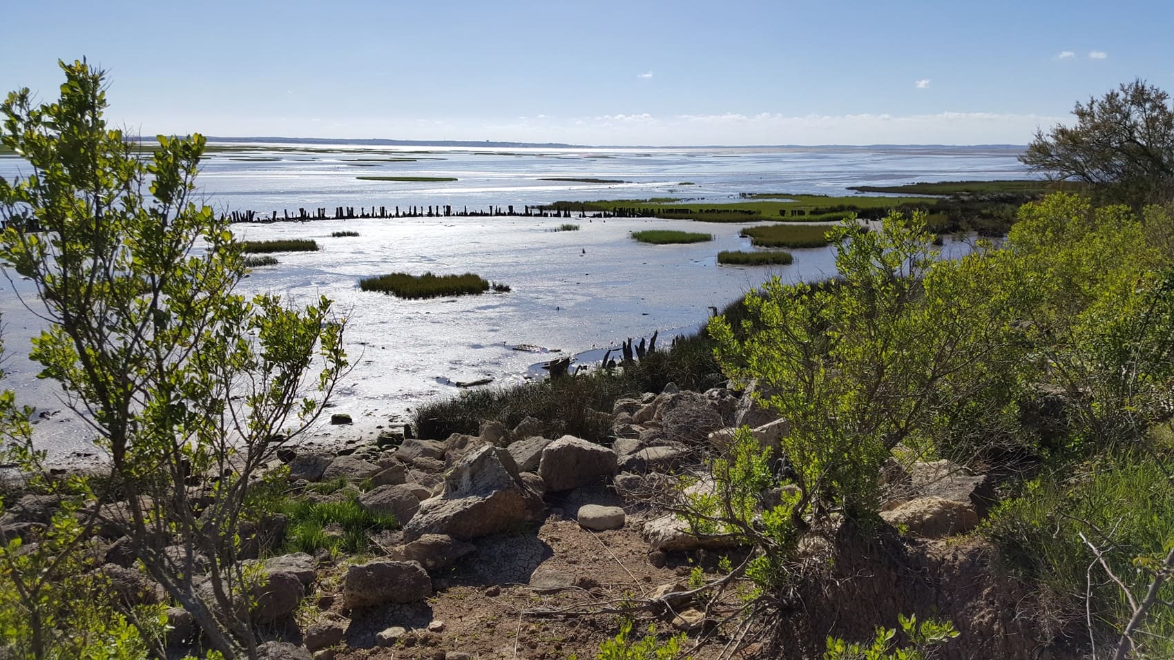 Tour du Bassin d'Arcachon (Gironde)