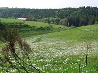 Hike around Ardechoise mountain (Ardeche) 8