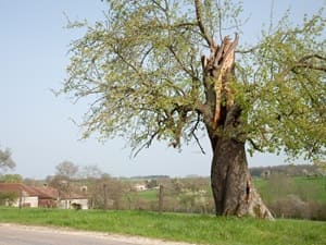 Hiking around the Argonne (Marne, Ardennes, Meuse) 7