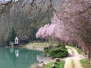 Hike around Avallonnais (Yonne, Nievre)