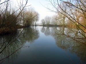 Hike around Avaloirs Mount (Mayenne, Orne, Sarthe) 3