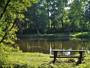 Hike around Avaloirs Mount (Mayenne, Orne, Sarthe) 4