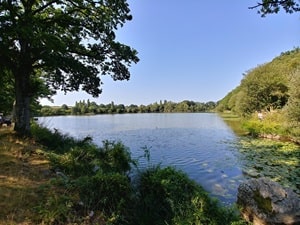 Hike around Avaloirs Mount (Mayenne, Orne, Sarthe) 6