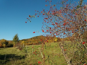 Hiking around Valromey Balcony (Ain) 7