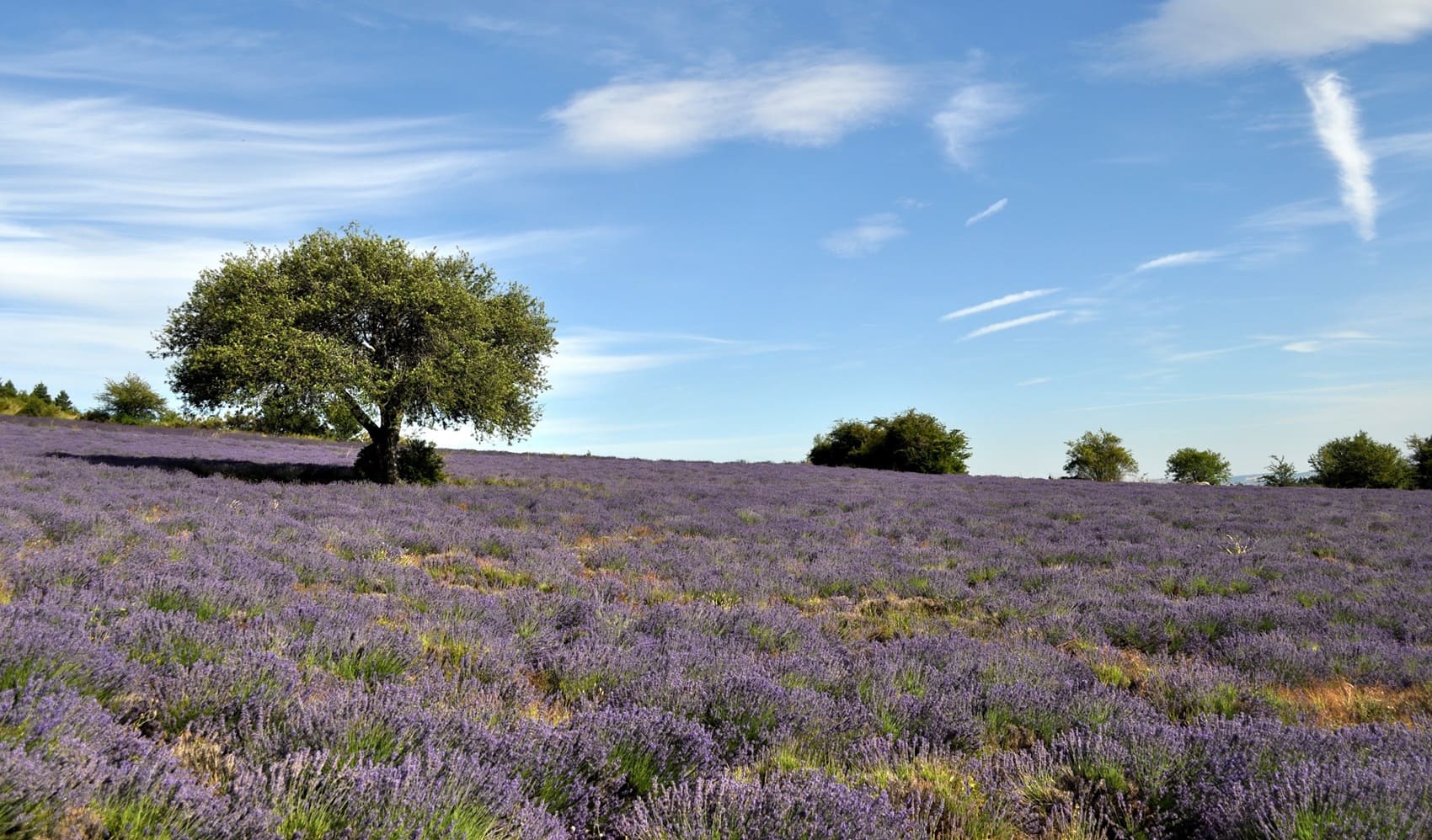 Tour des Baronnies provençales (Drôme)