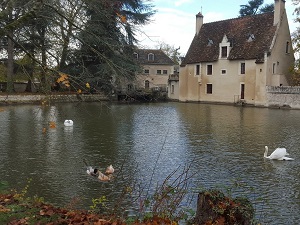 Hiking around Brenne country (Vienne, Indre, Indre-et-Loire) 6