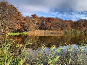 Randonnée autour de la Bresse Comtoise (Jura) 7