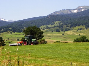 Hiking around Capcir (Eastern-Pyrenees) 7