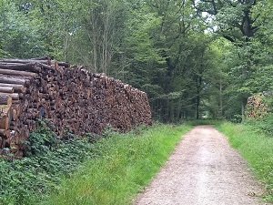 Randonnée autour de la Ceinture Verte d'Ile-de-France 7