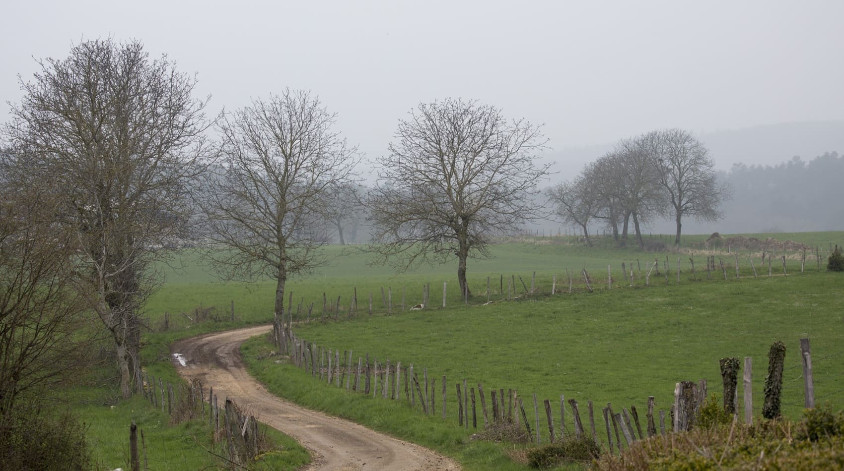 Around Ain valley in Cerdon country (Ain)