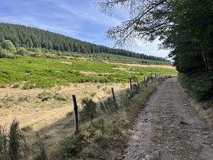 Randonnée sur Le Cévenol de La Bastide-Puylaurent (Lozère) à Génolhac (Gard) 3