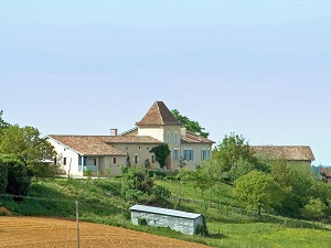 Hiking on the Tour of Haute Chalosse (Landes) 3