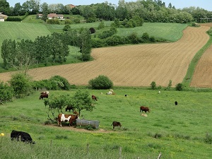 Hiking on the Tour of Haute Chalosse (Landes) 7