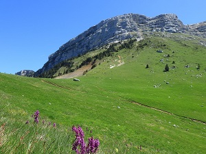 Hiking around Chamechaude (Isere) 6