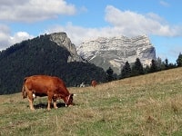 Hiking around Chartreuse massif (Isere, Savoie) 8
