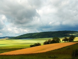 Randonnée sur le circuit du cidre dans le Pays d'Othe (Aube, Yonne)