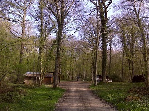 Hike on Cider tour in the Pays d’Othe (Aube, Yonne) 7