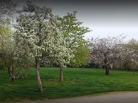 Hike on Cider tour in the Pays d’Othe (Aube, Yonne) 8