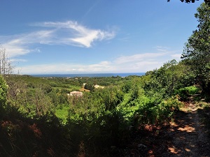 (North) From San-Nicolao (Upper-Corsica) to Cargese (South-Corsica) 3