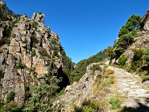 (North) From San-Nicolao (Upper-Corsica) to Cargese (South-Corsica) 6