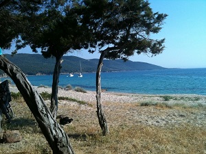 Mare è Monti (Sud) Randonnée de Porticcio à Propriano (Corse-du-Sud) 5