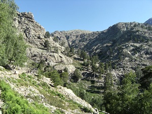 Corsica Transhumance Hiking from Calenzana to Corscia (Upper-Corsica) 5