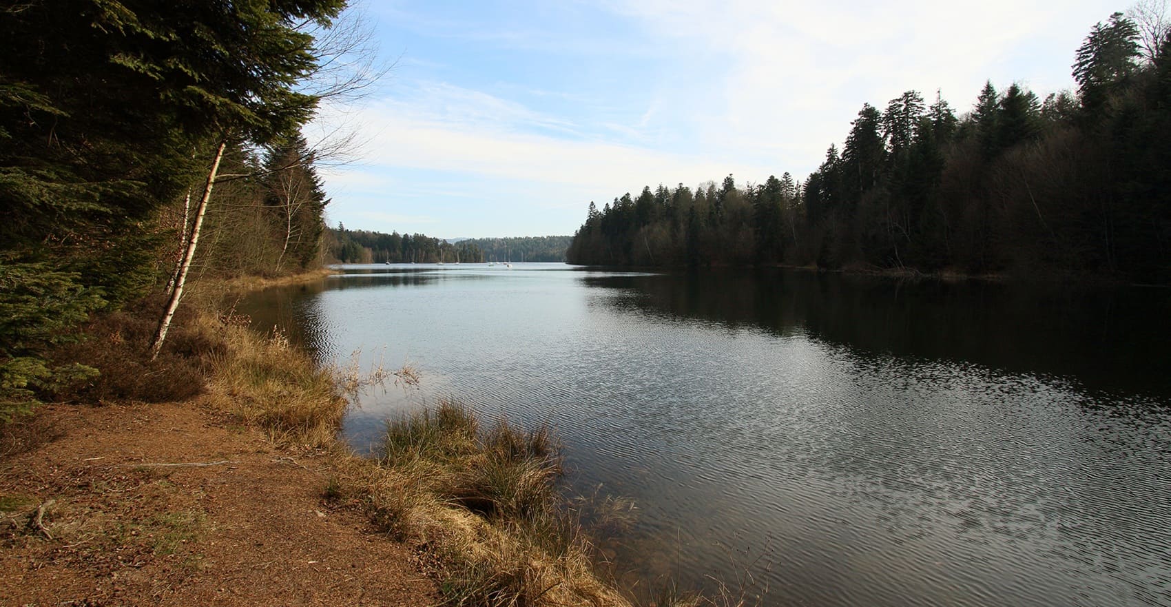 Around Deodatie North (Vosges, Meurthe-et-Moselle)
