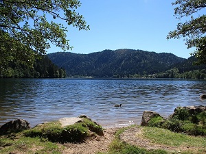 Randonnée autour de la Déodatie Sud (Vosges) 5