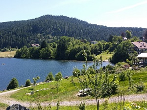 Randonnée autour de la Déodatie Sud (Vosges)