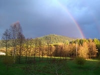Hike around Deodatie South (Vosges) 8