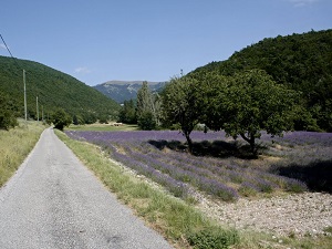 Hiking around Pays de Dieulefit (Drome) 4