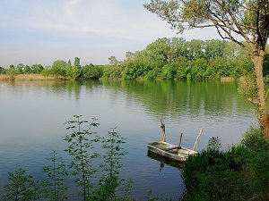 Hiking through Dombes (Rhone-Ain) 5