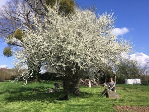 Randonnée autour du pays de Châtillon-sur-Indre (Indre) 6