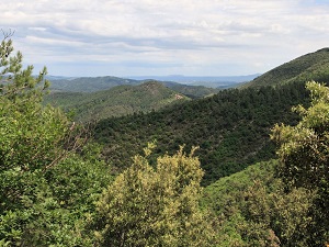 Hiking around the Valley of Galeizon (Gard-Lozere) 5