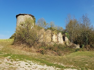 Randonnée autour des Gorges de la Loire (Haute-Loire) 5