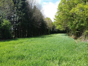 Randonnée autour du Massif d'Uchaux (Vaucluse) 5