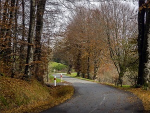 Hike around Upper Thore Valley (Tarn, Aude, Herault) 7