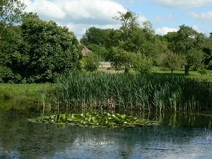 Hiking around Saint-Jacques (Aube, Yonne)