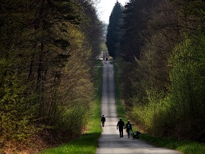 Randonnée sur l'échappée jurassienne de Dole à Perrigny (Jura) 4