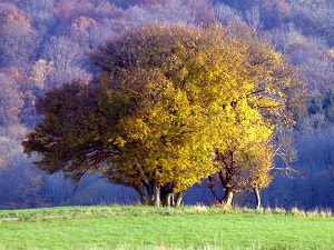 Randonnée sur l'échappée jurassienne de Dole à Perrigny (Jura) 7