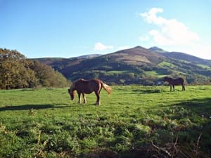 Tour du Labourd en Pays Basque (Pyrénées-Atlantiques) 4