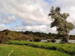 Randonnée autour du Lac de Grand-Lieu (Loire-Atlantique)